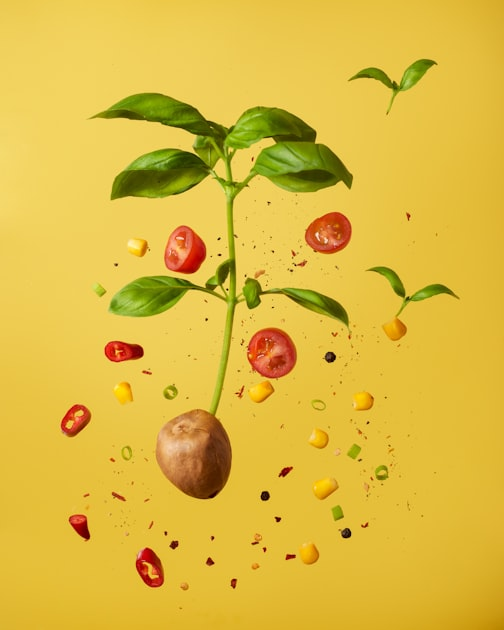 Creative Culinary Techniques